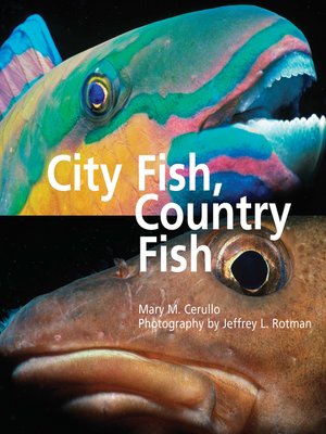 cover image of City Fish Country Fish